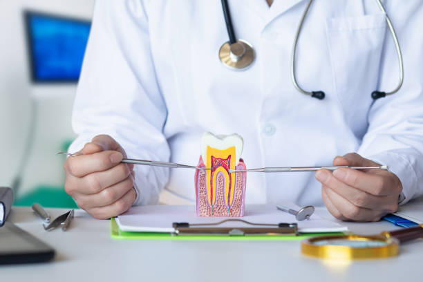 Trusted MI Emergency Dental Service Experts